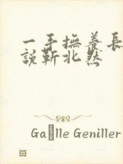 一手抚养长大小说靳北然