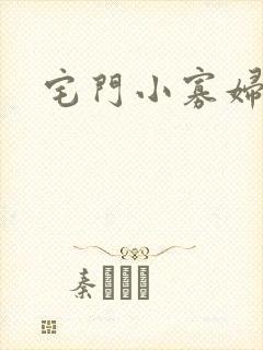 宅门小寡妇