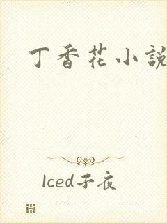 丁香花小说