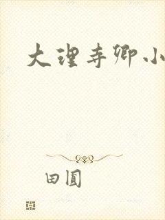 大理寺卿小说封面