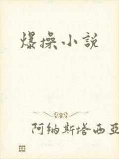 爆操小说