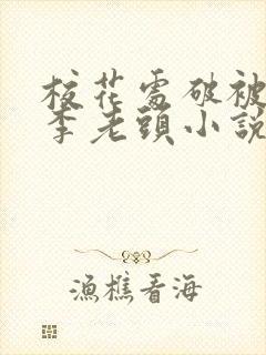 校花处破被灌满李老头小说封面