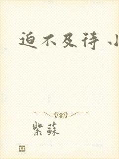 迫不及待 小穴