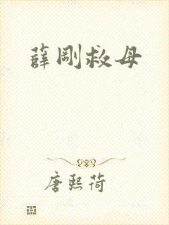 薛刚救母