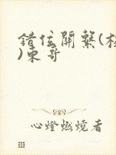 错位关系(校园)东哥