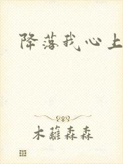 降落我心上