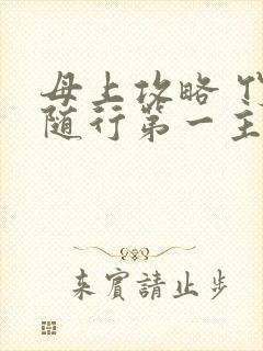 母上攻略 竹影随行第一主板