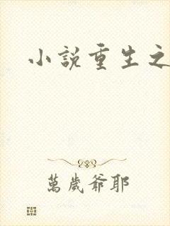 小说重生之官道