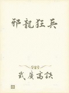 邪龙狂兵封面