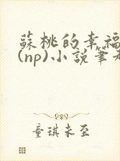 苏桃的幸福生活(np)小说笔趣阁沐沐