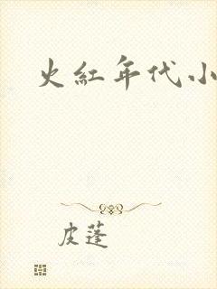 火红年代小说