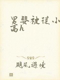 男婴被从小调教高h封面