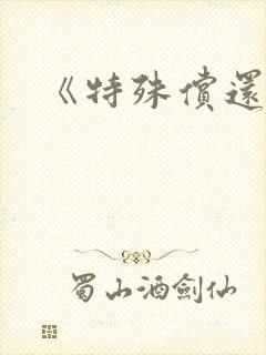 《特殊偿还》封面