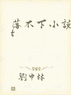 落不下小说txt