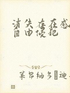 消失存在感消失自由侵犯
