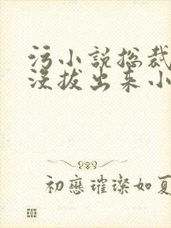 污小说总裁整夜没拔出来小说在线阅读