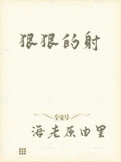 狠狠的射