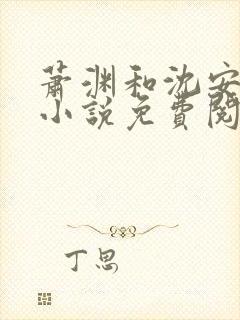 萧渊和沈安安的小说免费阅读