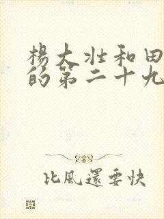 杨大壮和田桂花的第二十九