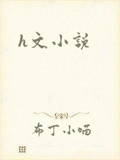 h文小说