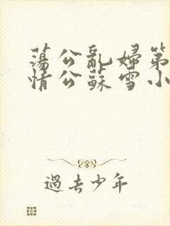 荡公乱妇第1章情公苏雪小说