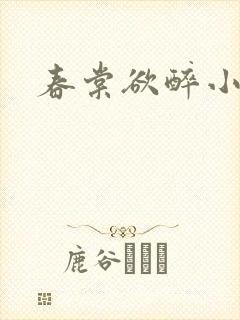 春棠欲醉小说