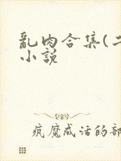 乱肉合集(二)小说