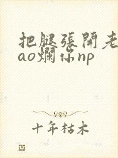 把腿张开老子cao烂你np封面