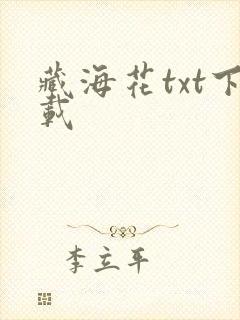 藏海花txt下载