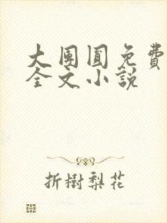大团圆免费阅读全文小说