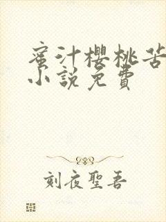 蜜汁樱桃苦咖啡小说免费
