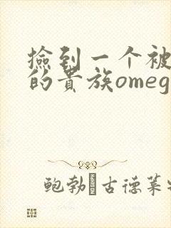捡到一个被抹布的贵族omega封面
