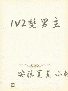 1V2双男主封面