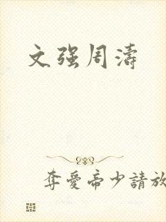 文强周涛