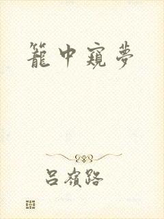 笼中窥梦