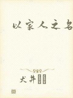 以家人之名小说