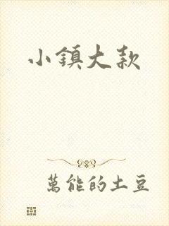 小镇大款