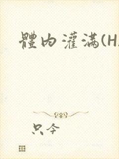 体内灌满(H)封面