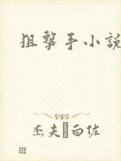 狙击手小说封面