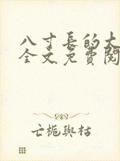 八寸长的大宝贝全文免费阅读