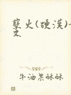 孽火(硬汉)今又