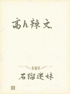 高h辣文