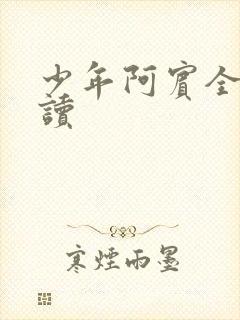 少年阿宾全集阅读