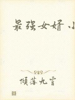 最强女婿 小说