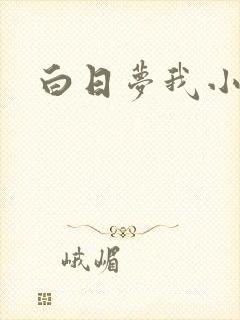 白日梦我小说