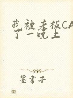 我被老板CAO了一晚上
