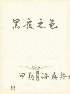 黑夜之色封面