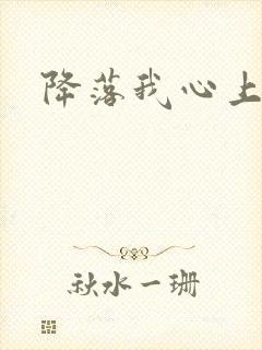 降落我心上