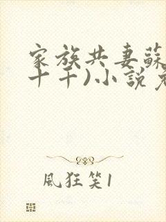 家族共妻苏苏(十千)小说免费