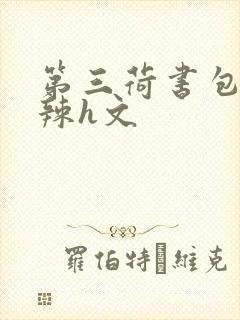 第三荷书包网高辣h文